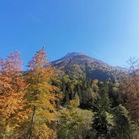 Vrsnik Hideaway Počitniška hiša *