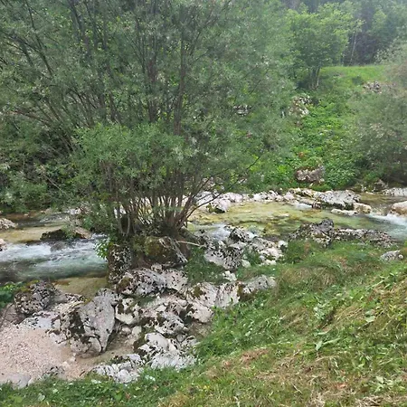 Vrsnik Hideaway