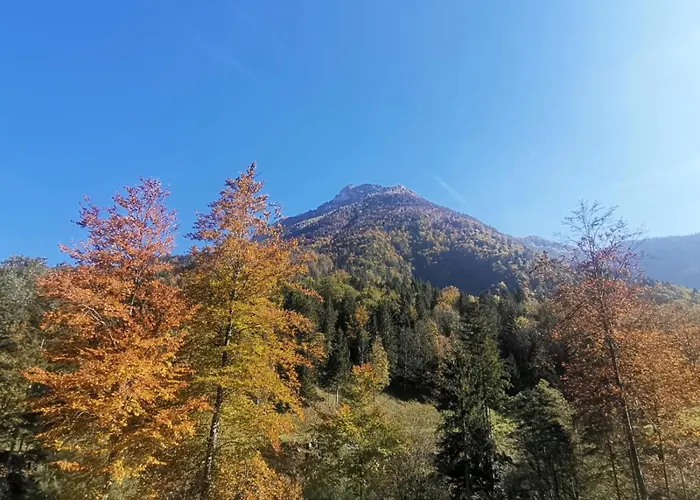 Vrsnik Hideaway Tatil Evi *